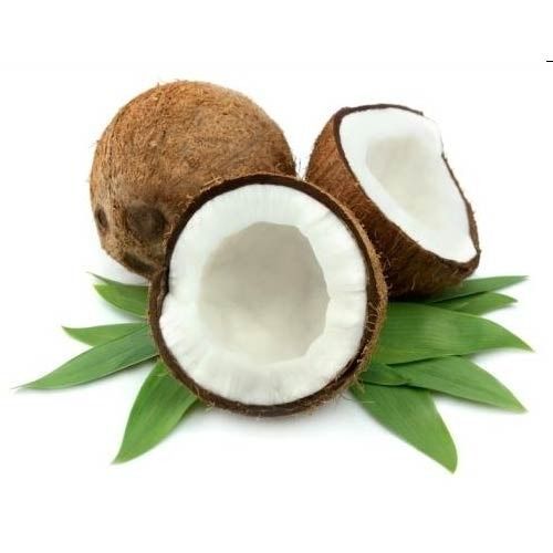 Fresh Coconuts - Superior Quality, Farm-Fresh Hygiene and Natural Sweetness