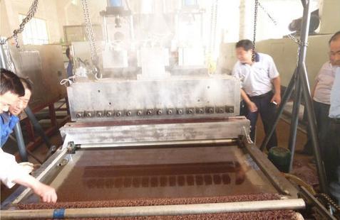 PVC Double-Color Coil Mat Firm Backing Machine