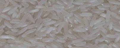 5% Broken Vietnam White Rice