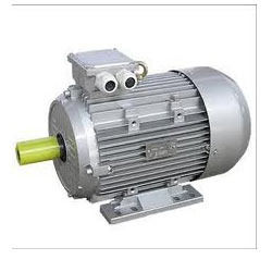 Three Phase AC Motor