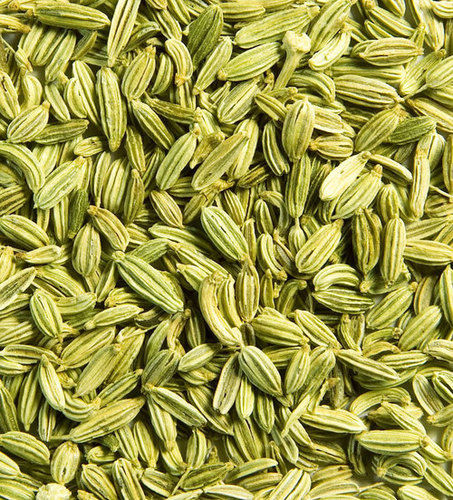 Fennel Seed