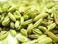 Indian Fennel Seeds 