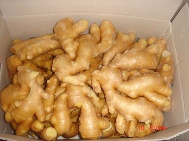 Fresh Ginger