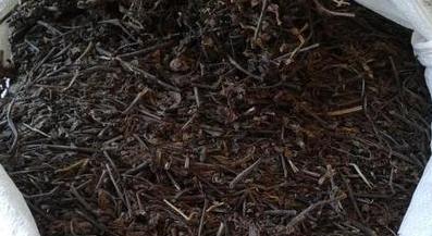 Grass Jelly Dried Plant