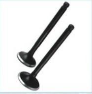 Heavy Duty Three Wheeler Engine Valves