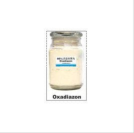 95% Oxadiazon TC By Lianyungang Jindun agrochemical co., ltd.