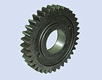 Spur Gear 29 Teeth