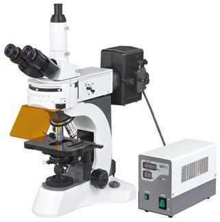 Fluorescence Microscope