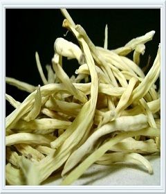 Safed Musli - Premium Quality Herbal Root Extract | Highly Admired for Versatility in Various Sectors