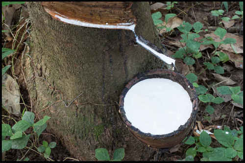 Natural Rubber Latex By An Phu Manufacturing, Trading, Export & Import Company