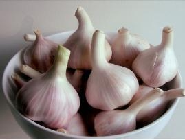 Fresh Garlic