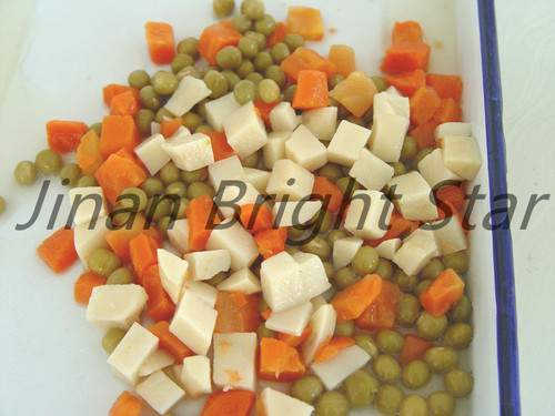 Canned Mixed Vegetables By Jinan Bright Star Industry Co., Ltd.