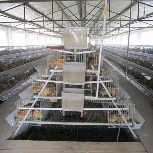 Poultry Farm Battery Cages For Baby Chicks And Pullets