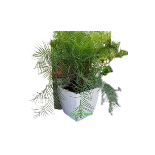 Square Garden Planter