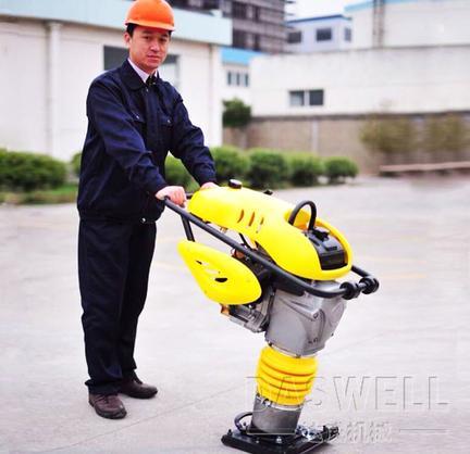 Daswell New Series Product Pneumatic Rammer