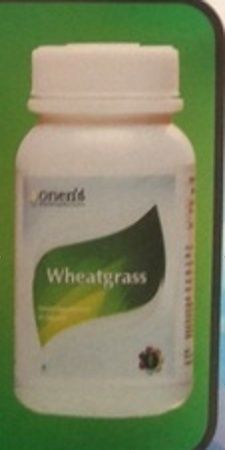 Wheat Grass