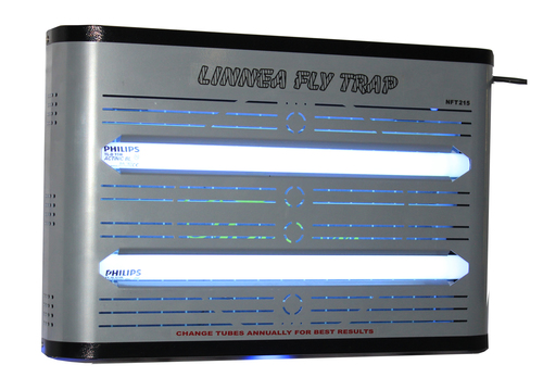 नो स्मेल लिनिया फ्लाई ट्रैप