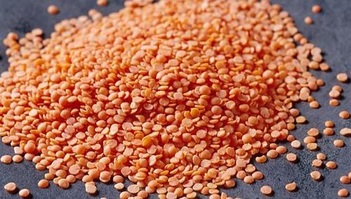 Lentils