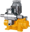 TPL Series Smooth Glow Pump