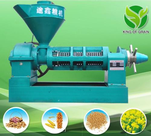 Grape Seed Oil Press Machine