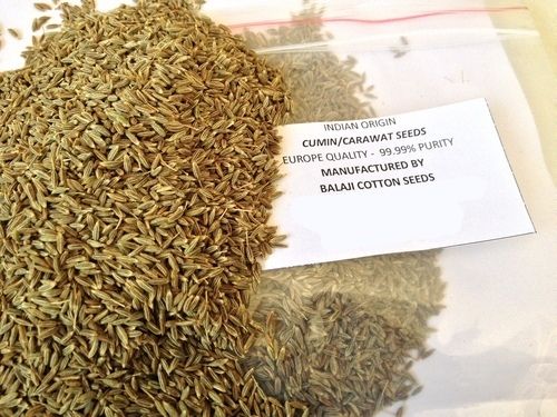 Cumin Seeds