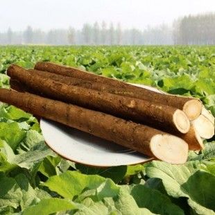 Burdock Root Extract