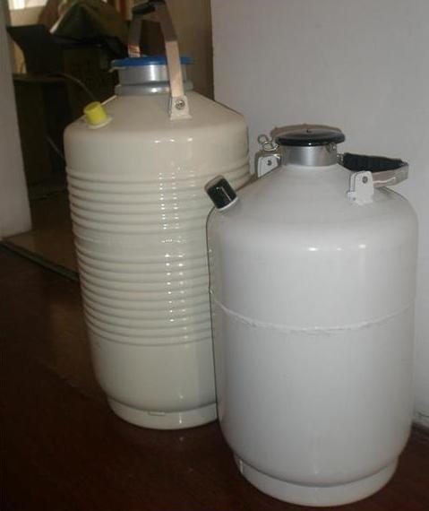 Liquid Nitrogen Containers