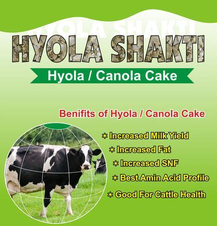 Hyola Shakti (Indian Canola Cake)