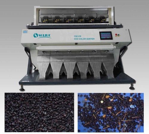 Currant Color Sorter Machines