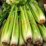 Celery