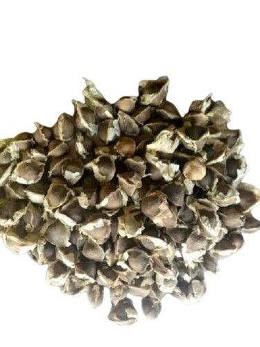 Moringa Seeds