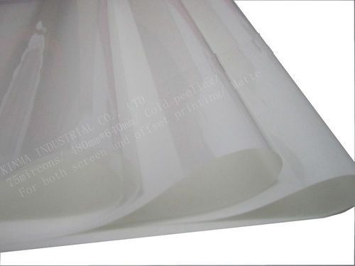 PET Heat Transfer Film