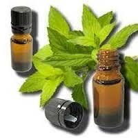 Spearmint Essential Oil