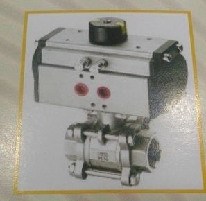 Pneumatic Rotary Actuator