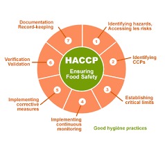 Haccp Certification  By ACCREDIUM CONFORMITY ASSESSMENT SERVICE PVT. LTD.