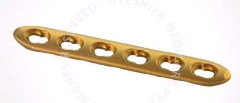 Locking Compression Plate