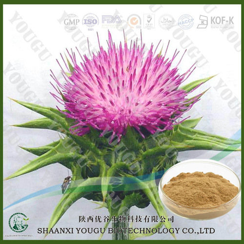 Milk Thistle Extract Silymarin 80% (Silybin 40%); Silybin 30%~35%; Silybin+Isosilybin 30%