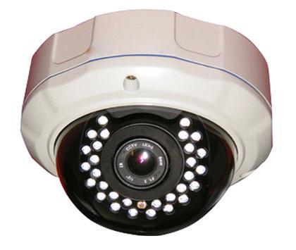 Outdoor IP Dome Camera