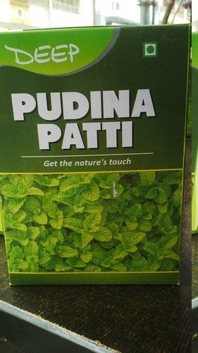 Pudina Patti