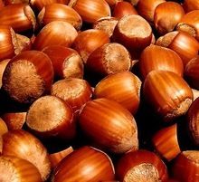 Hazelnuts