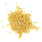 Mustard Seeds