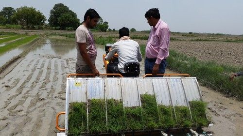 Farming Rice Transplanter