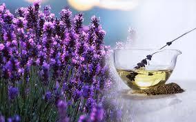 Lavender Oil