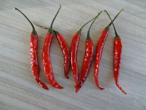 Chile De Arbol