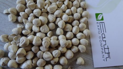 Moringa Oleifera Seed Kernels