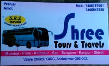 Shree Tour and Travel Services