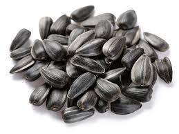 Sunflower Seeds