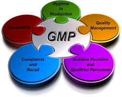 GMP CERTIFICATION Services