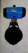 Pneumatic Rotary Actuator Operated Butterfly Valve
