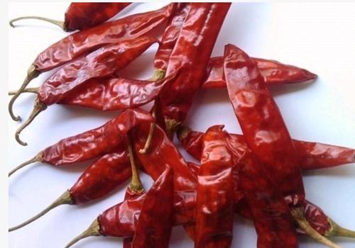 Red Dried Chilly